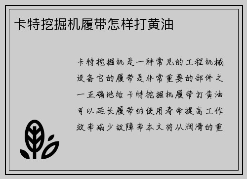 卡特挖掘机履带怎样打黄油