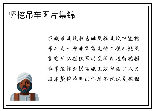 竖挖吊车图片集锦